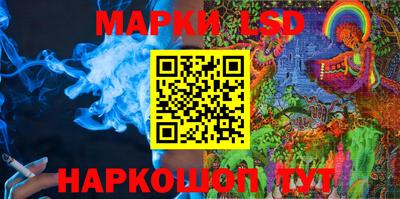 стафф Славгород