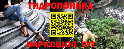 стафф Славгород
