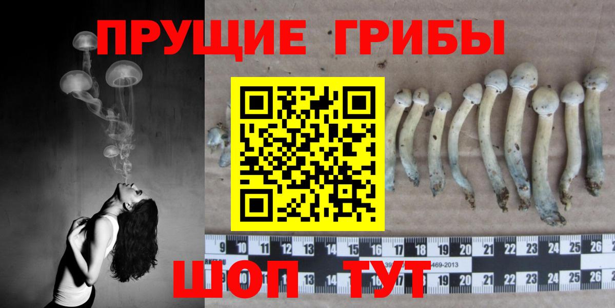 Галлюциногенные грибы GOLDEN TEACHER  купить закладку  Оренбург  Вход с VPN 